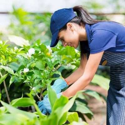 gardener.jpg.pagespeed.ce.NxbisGhMPz